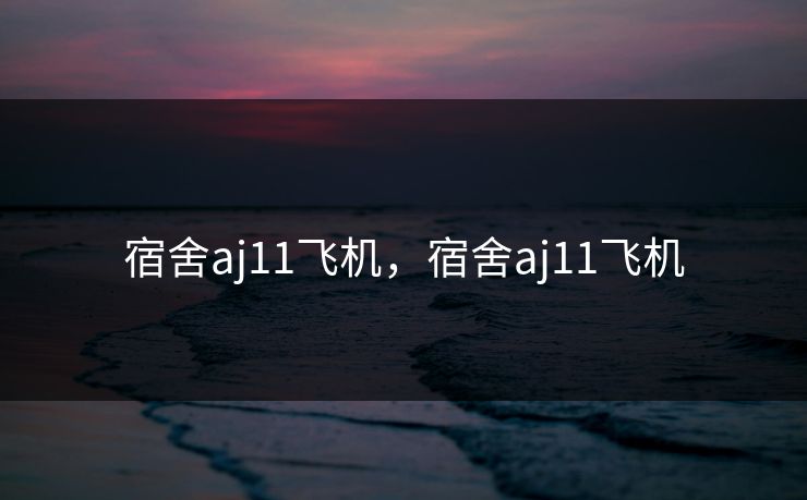 宿舍aj11飞机，宿舍aj11飞机
