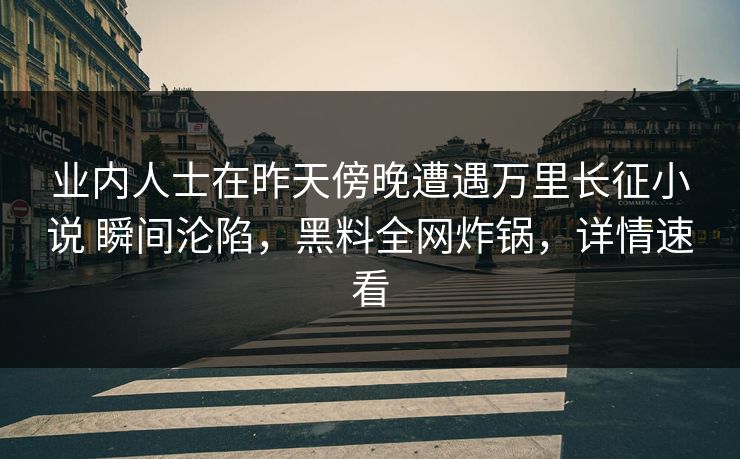 业内人士在昨天傍晚遭遇万里长征小说 瞬间沦陷，黑料全网炸锅，详情速看